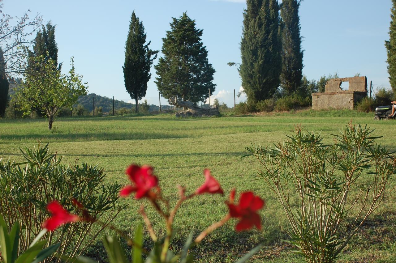 Вилла Agriturismo Lupo Vecchio Гроссето Экстерьер фото